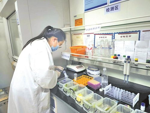 無錫農貿市場實現快檢全覆蓋，上半年檢測90多萬批次合格率超99%