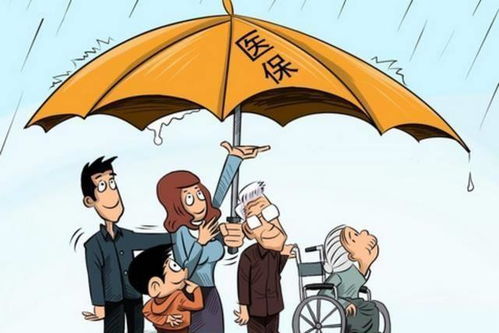 社保繳滿十五年中斷，退休前還需補繳嗎？權威解答來了